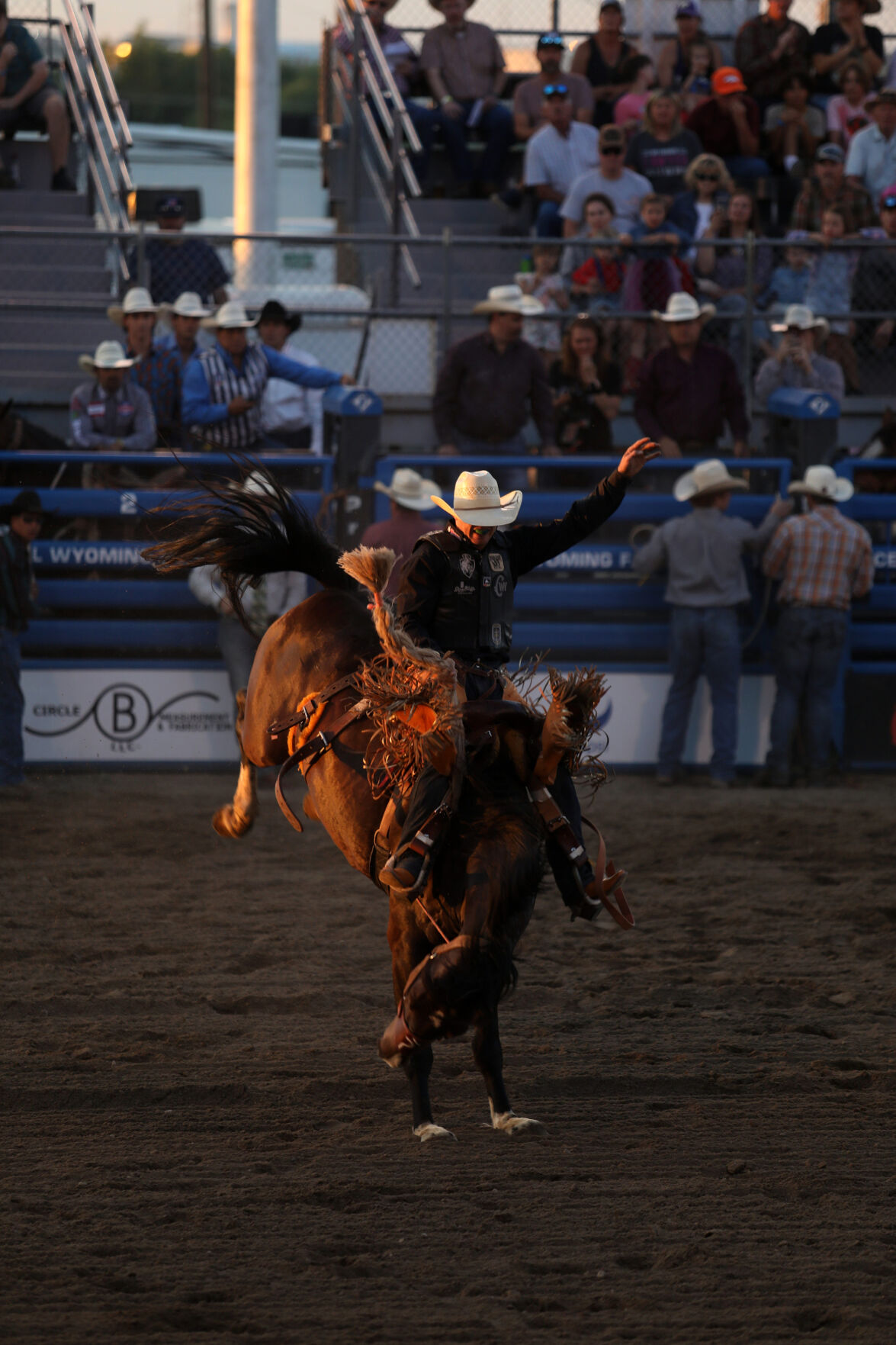 Hillsdale s Brody Cress chases 1st saddle bronc world title