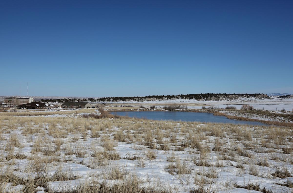 Dog Park Location
