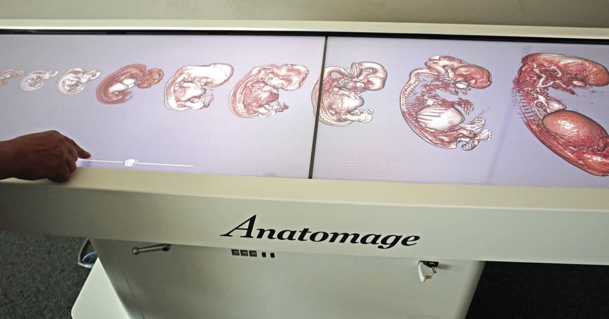 Green River students learn human dissection with Anatomage