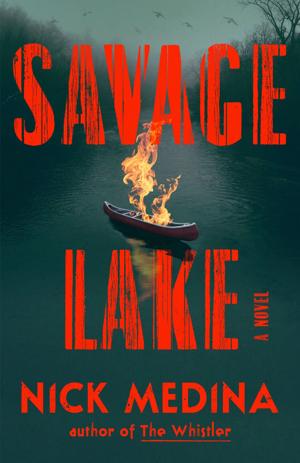 “Savage Lake,” by Nick Medina.