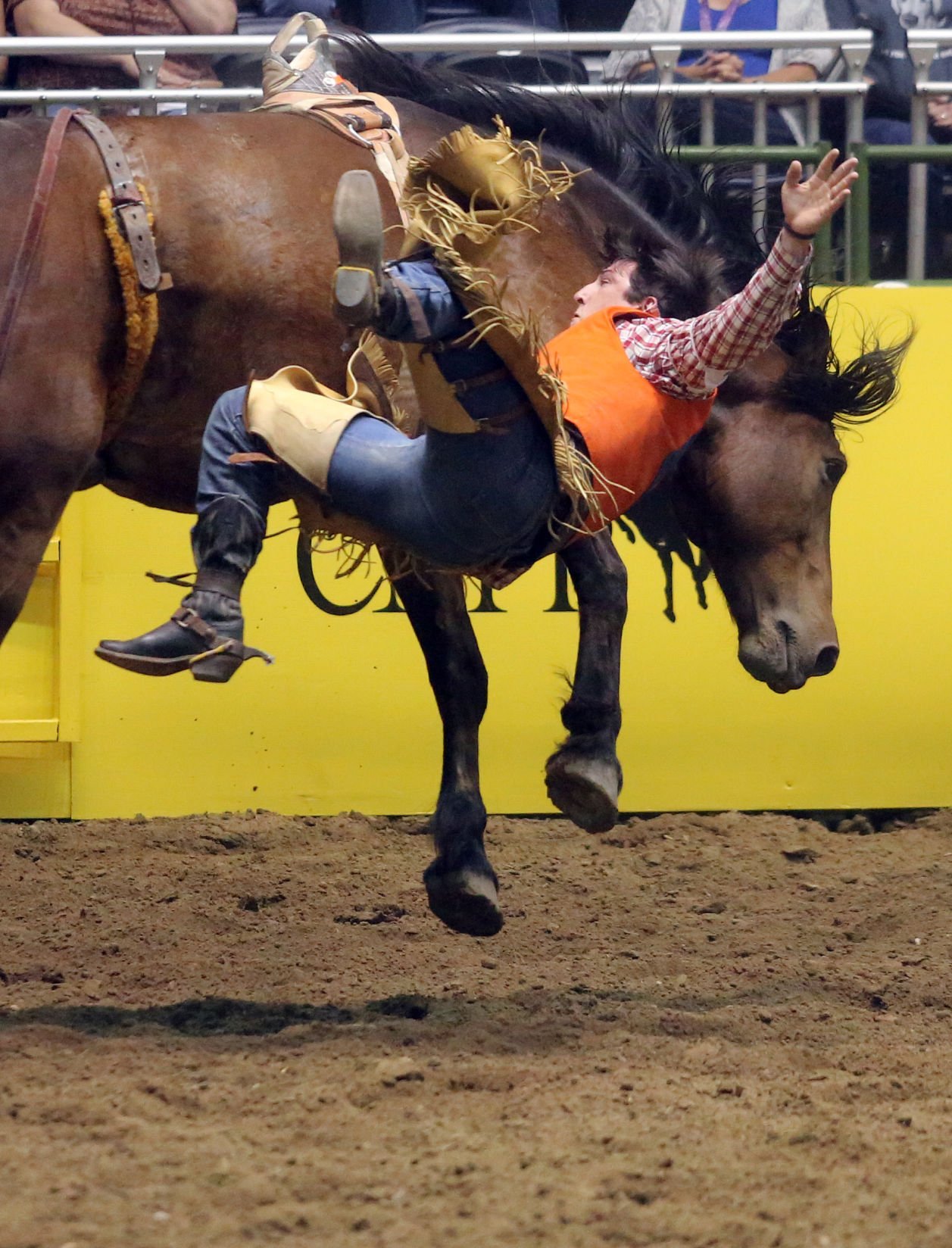 Sam Houston State Freshman Lane McGehee Leads Bareback Riders After ...