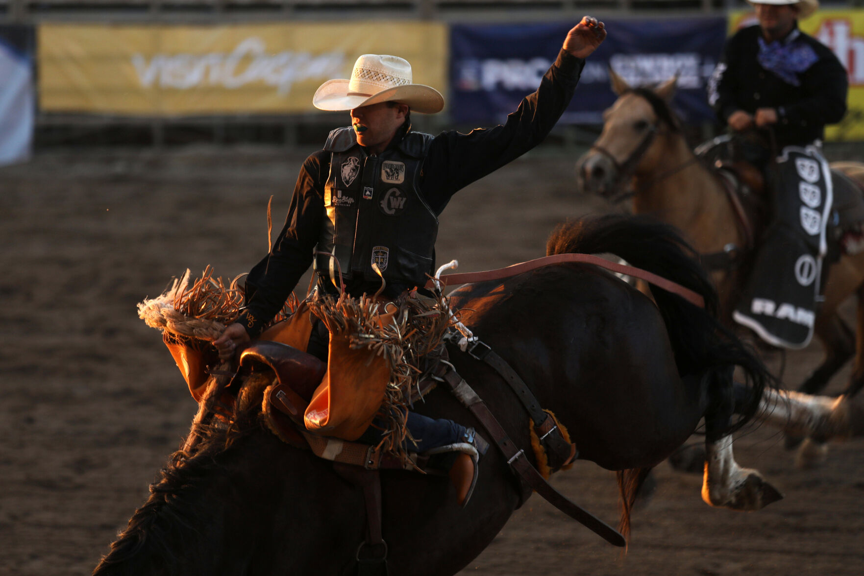 Hillsdale s Brody Cress chases 1st saddle bronc world title