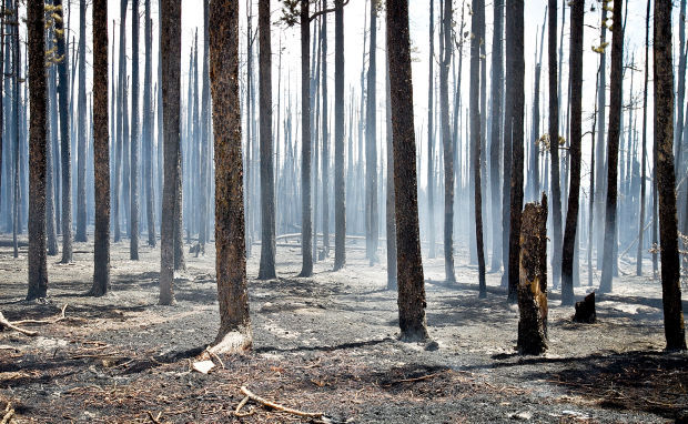 Lake Owen wildfire 80 percent contained