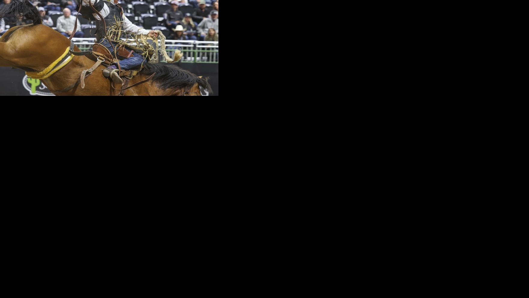 Asset-image