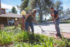 Volunteer Day
