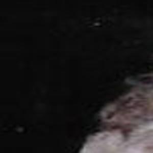 Effie Lorraine Bennion Obituaries Trib Com