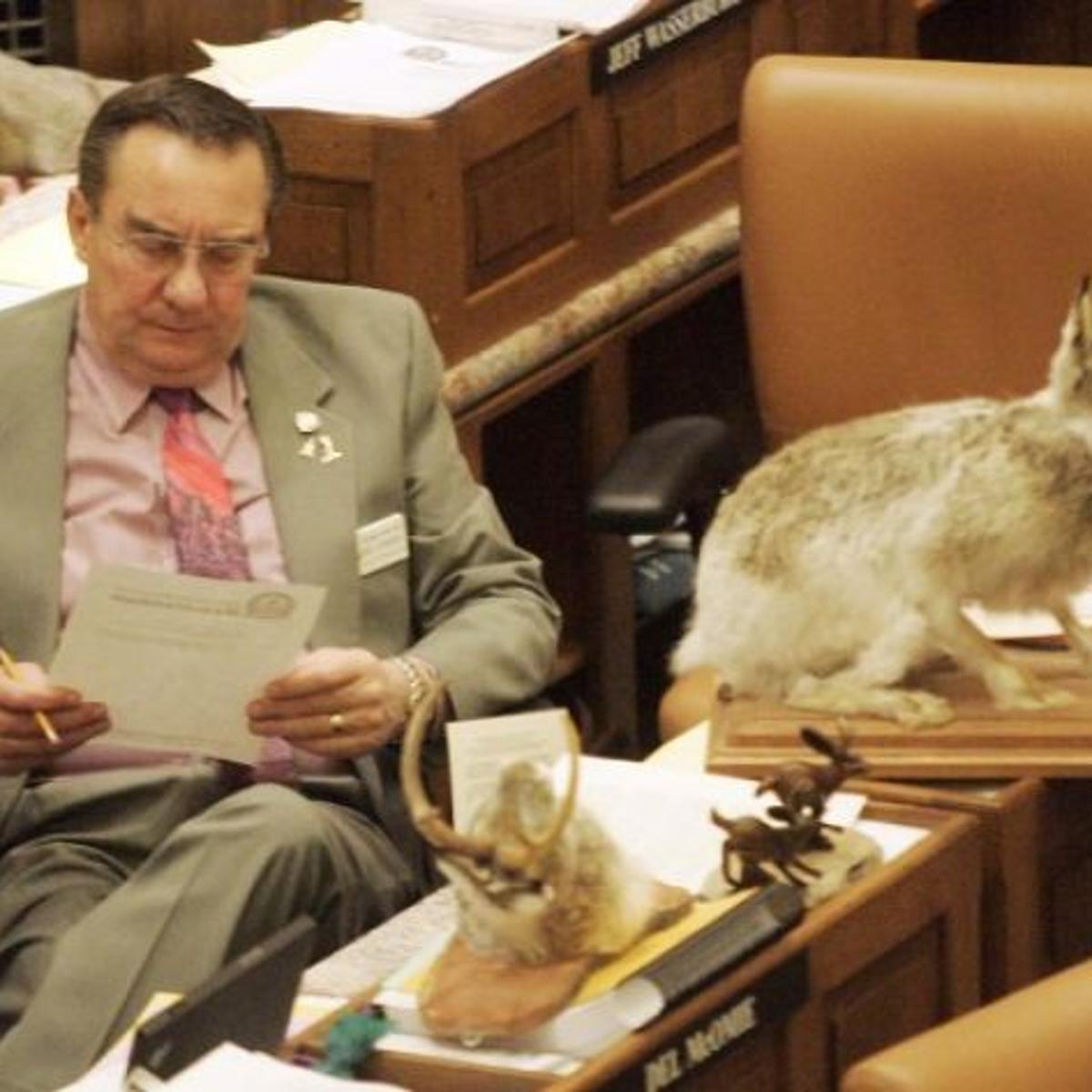Legislator Brings Back Jackalope Bill For Wyoming Mythical Creature 307 Politics Trib Com