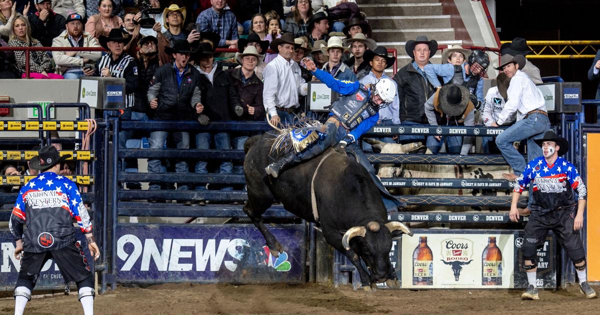 Pro Rodeo Results PRCA/WPRA pro rodeo standings through June 1