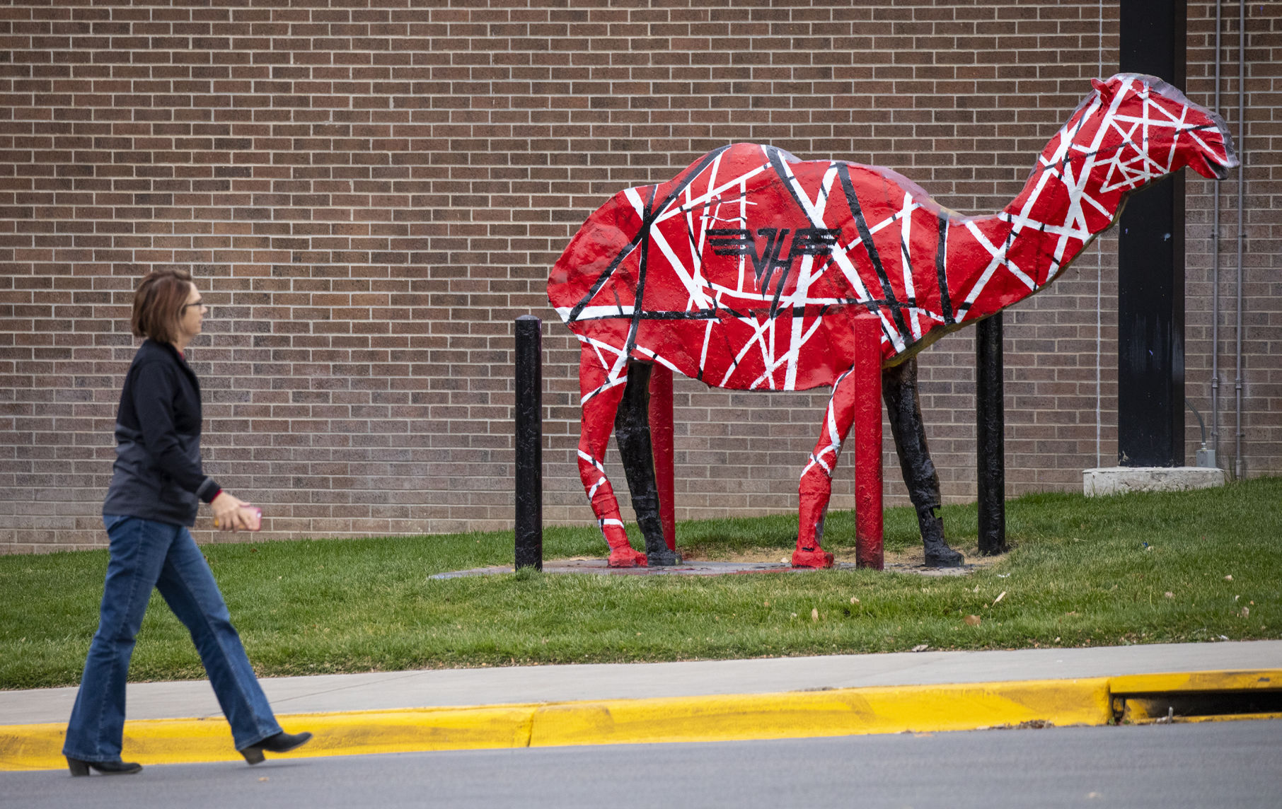 Campbell County High School students paint school camel in Van Halen  tribute | | trib.com