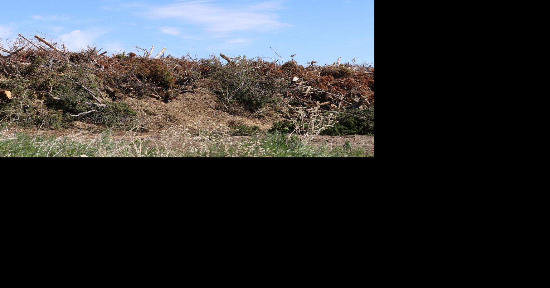 Casper Mountain slash pile closure sparks questions. Here's what we know