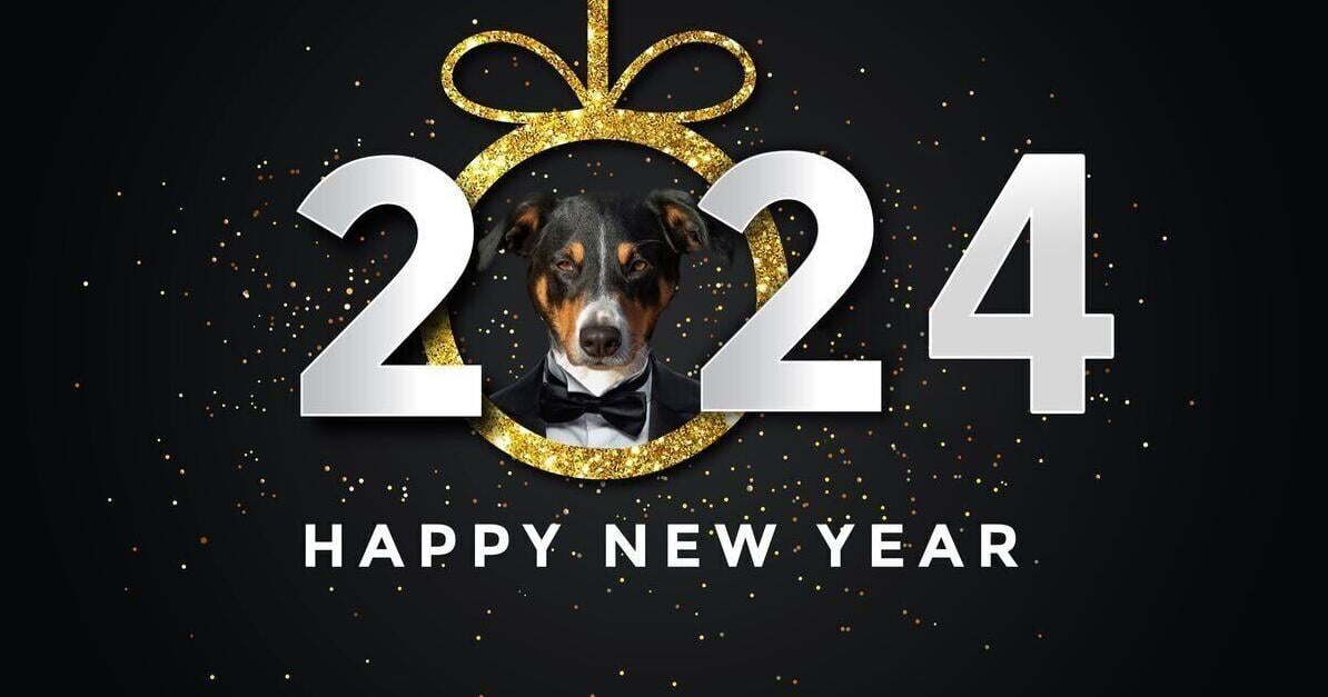 5 New Year resolutions for pet owners - Vimarsana News