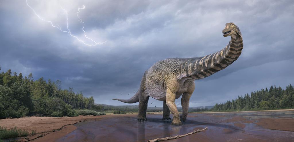 New dinosaur species found in Australia was as long as a basketball court, science, history, NWP, stay informed from News Without Politics