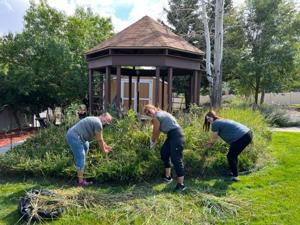 Bank's volunteers turn out in force