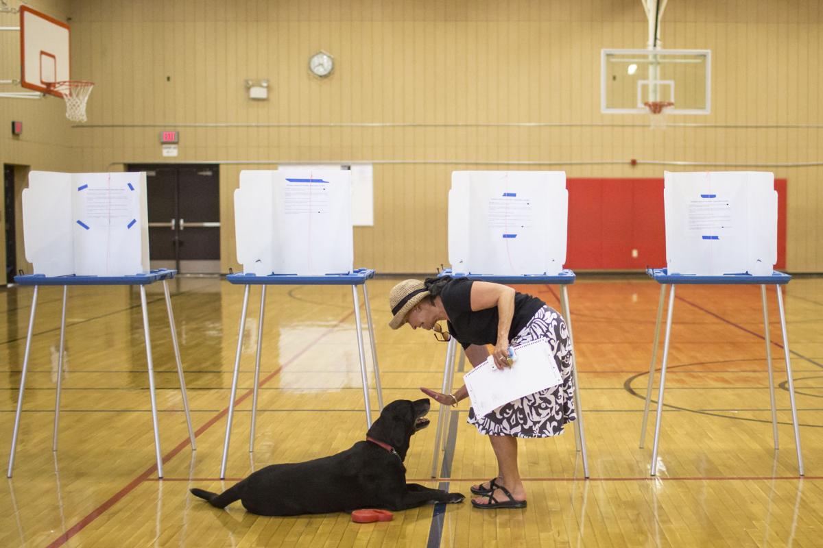 Wyoming Primary Elections
