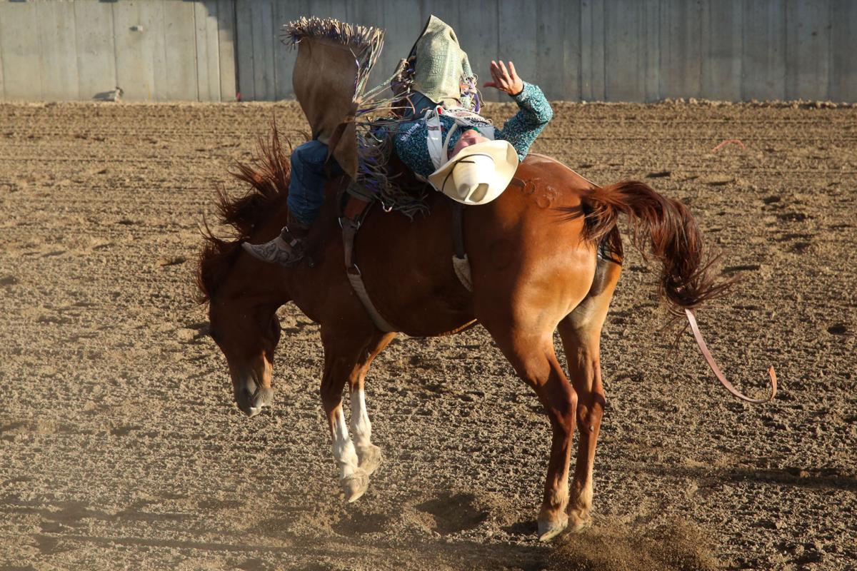 Cowley's JR Vezain grabs early lead in bareback bronc riding at Central