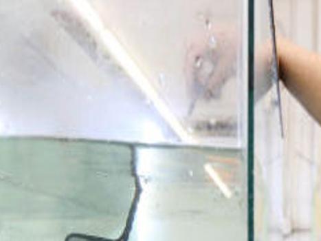 Casper Men Try Fish Farming Business Trib Com