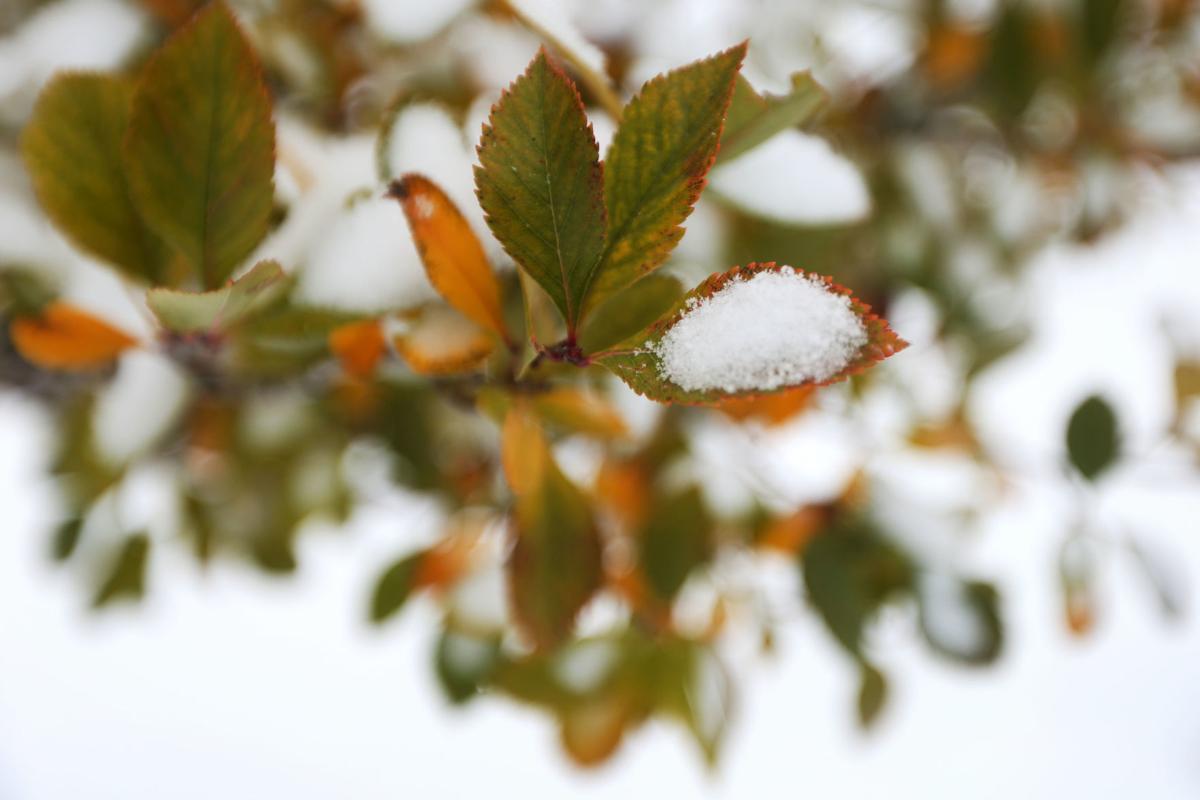 Record Low Temperatures Could Hit Wyoming This Week As Snow Cold