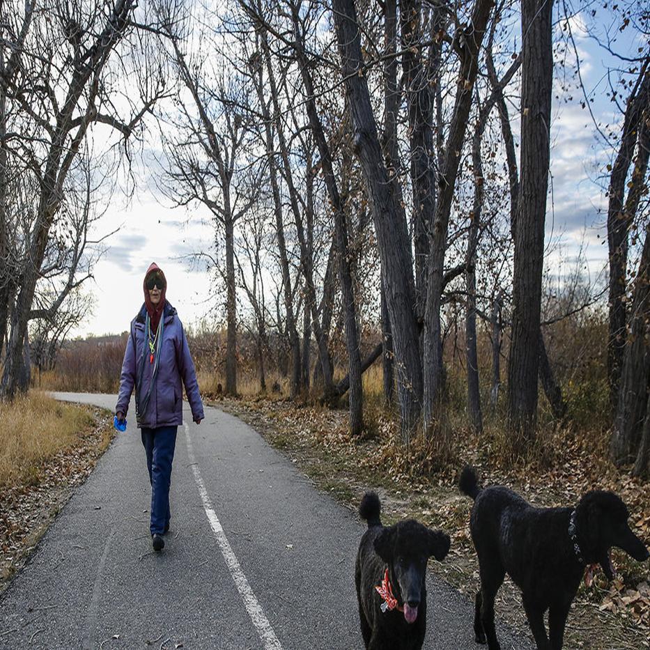 Casper City Council Passes New Animal Code Casper Trib Com