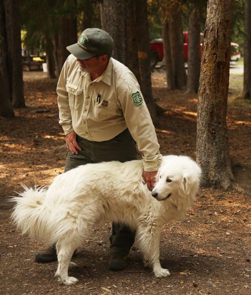 01_forest service 2