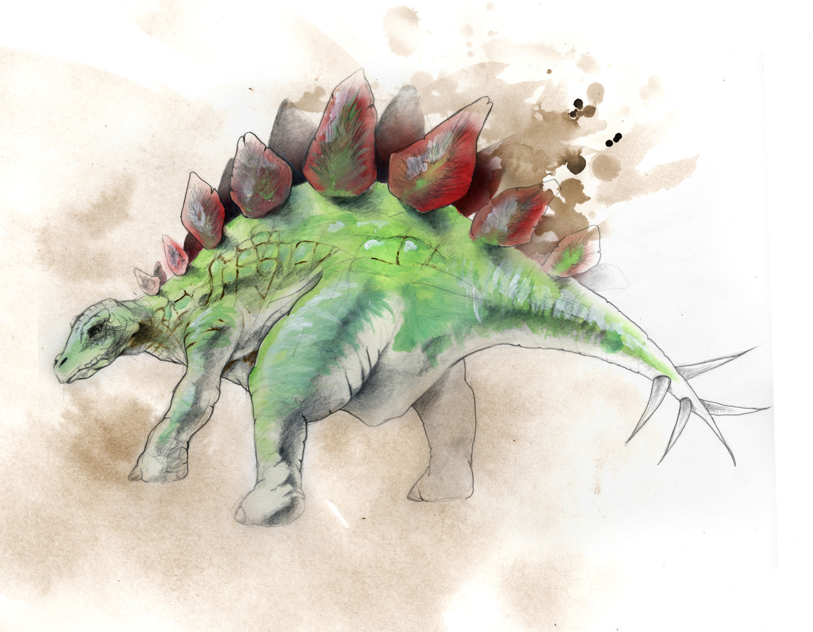 Динозавры звезда. Стегозавр тату. Стегозавр цветными карандашами. Стегозавр на белом фоне.