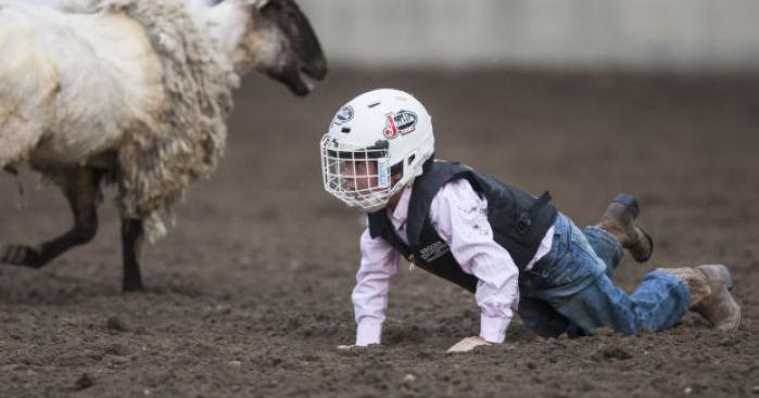 Mutton busting competition heating up at Central Wyoming Rodeo