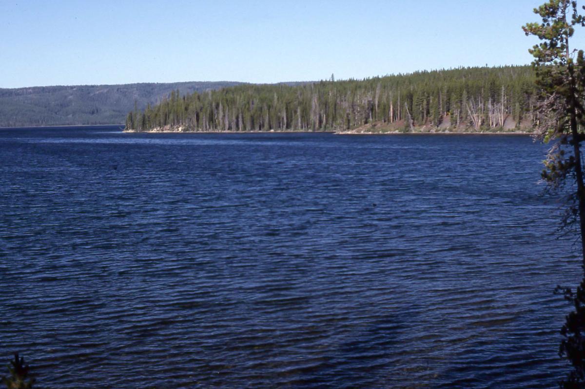 Shoshone Lake