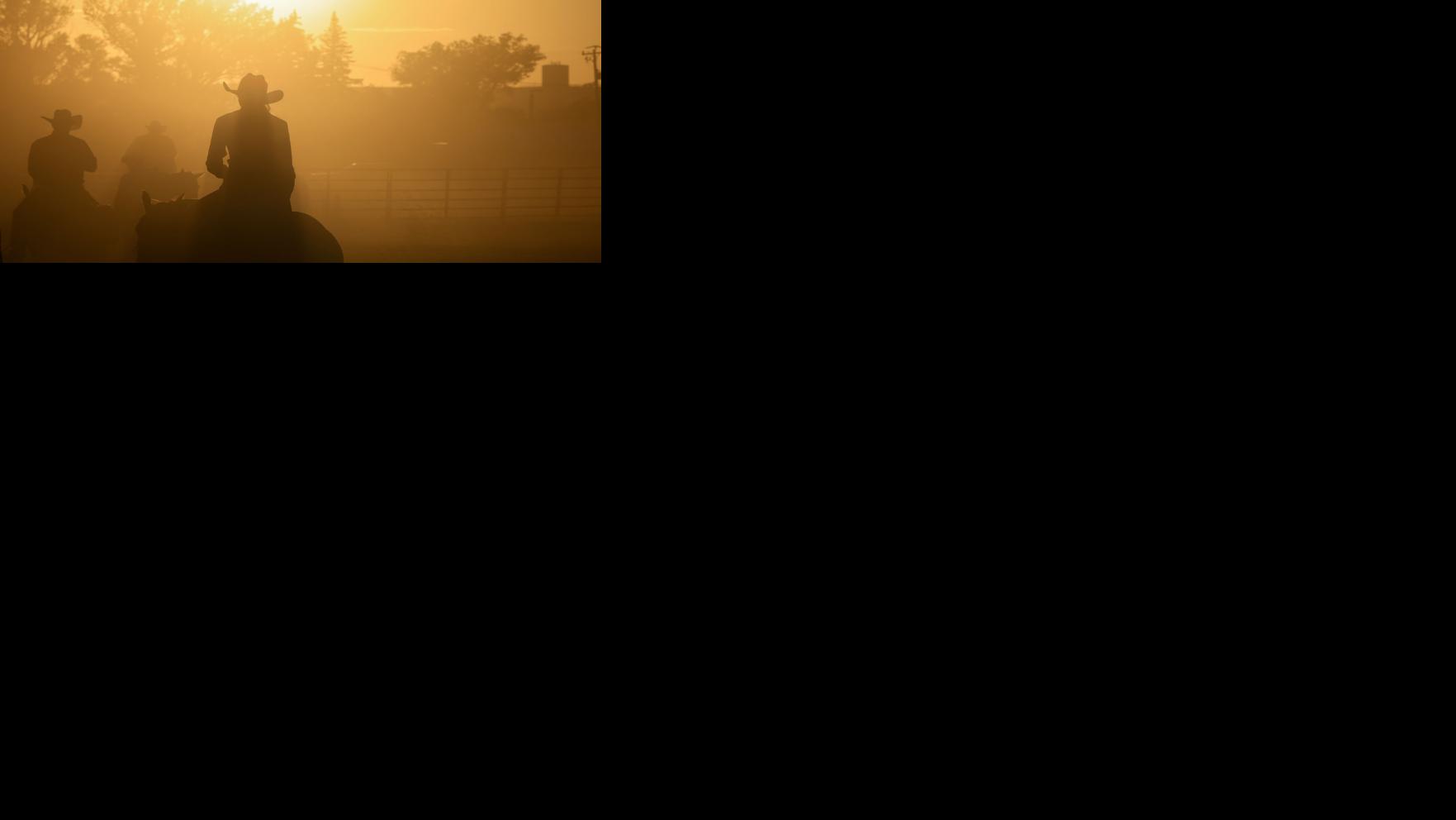 Asset-image