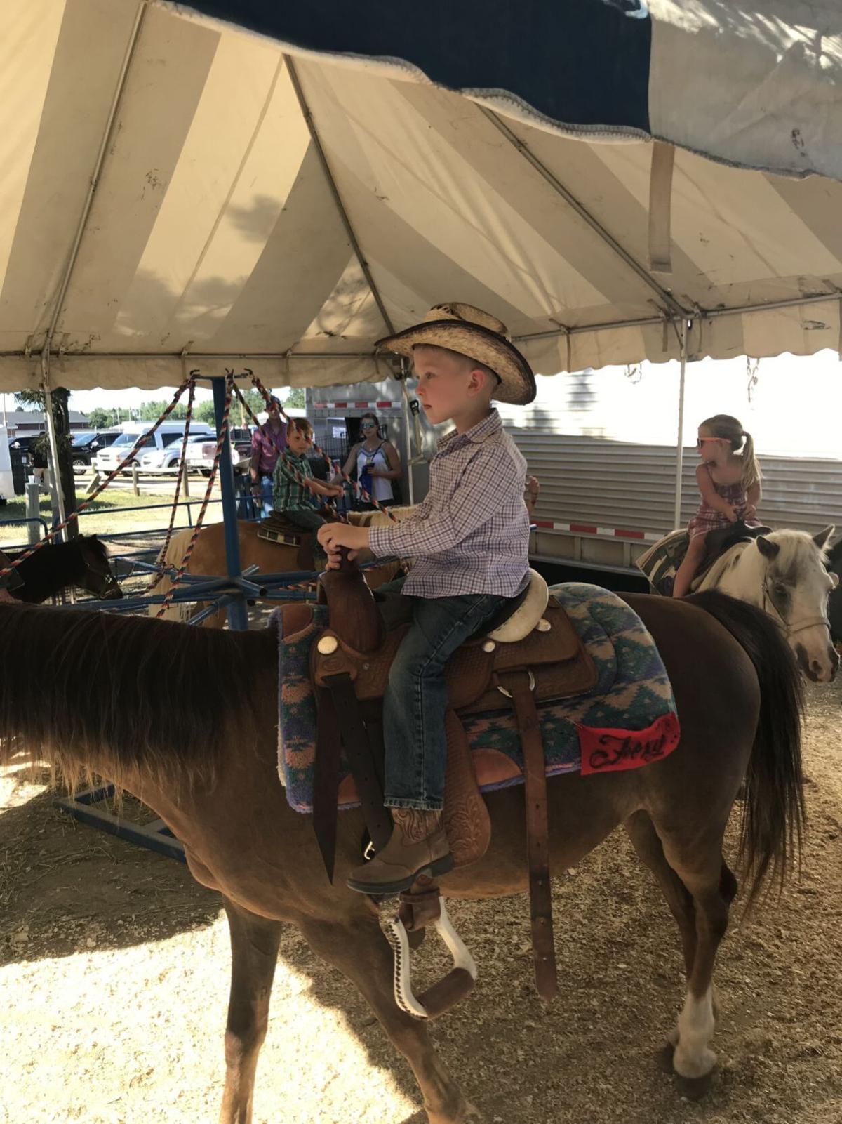 Cheyenne boy goes viral after protecting sister from dog attack