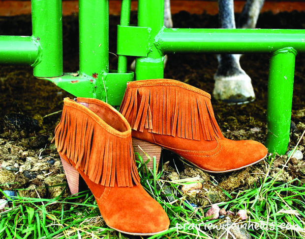 Cathy Holman: Prairie Wife in Heels