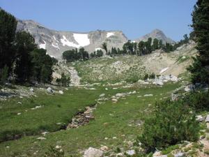 Paintbrush Canyon.jpg