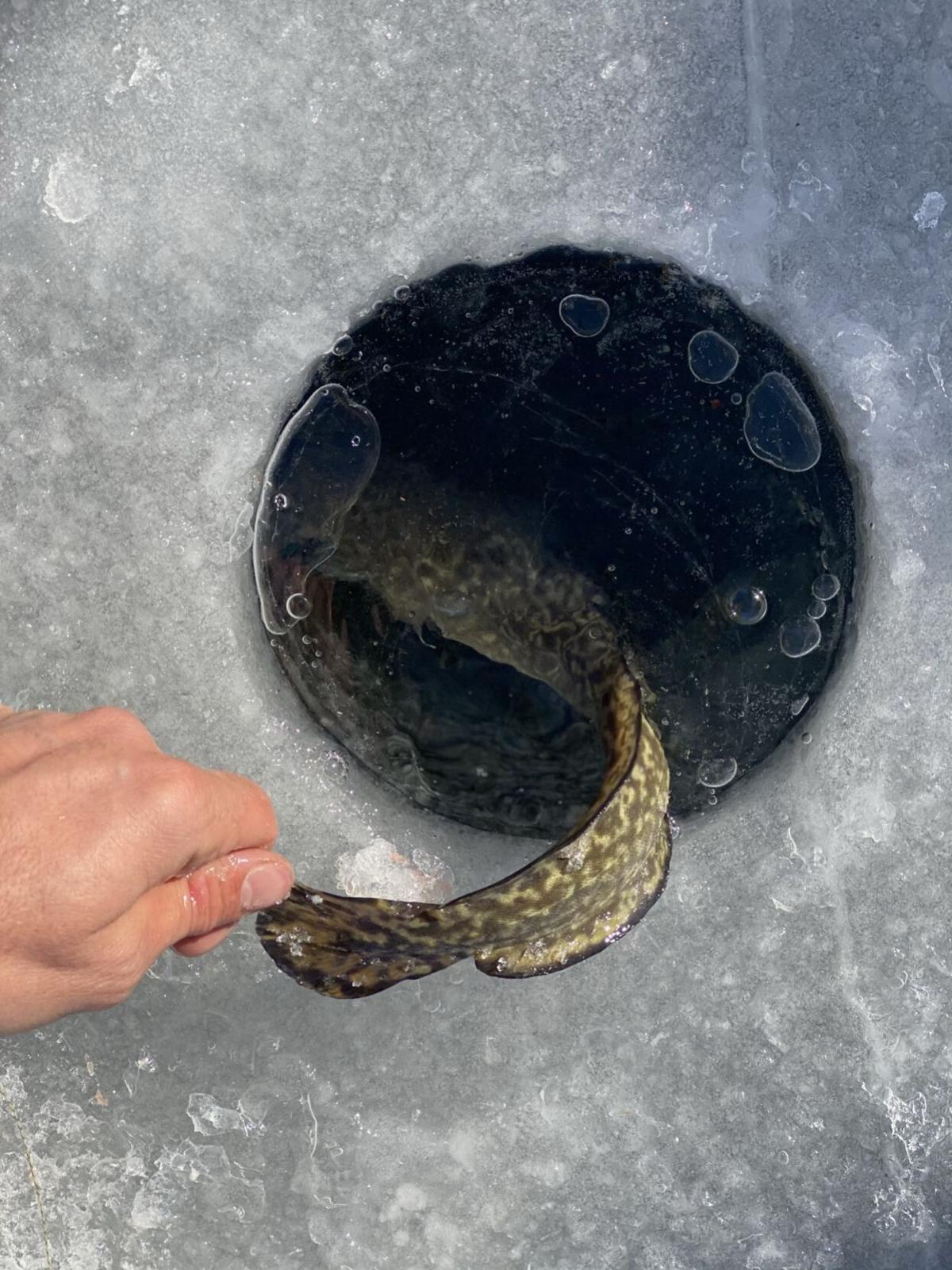 Ice fishing