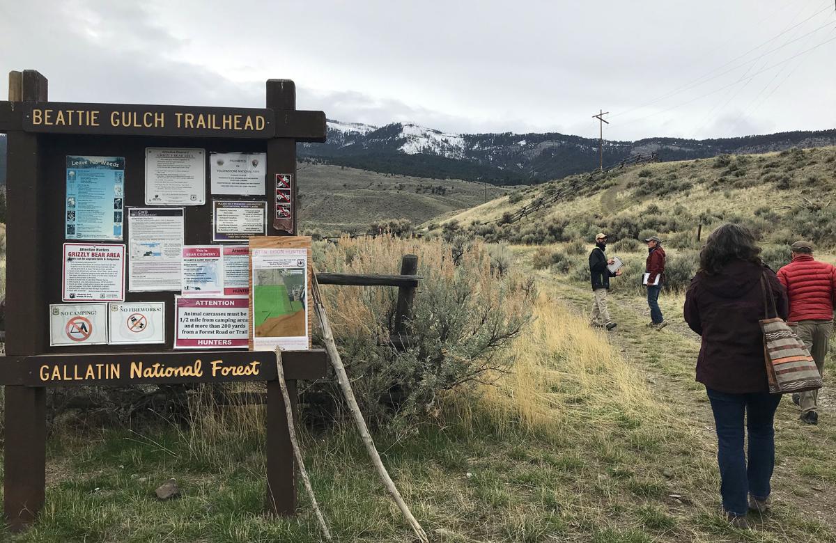 Beattie Gulch