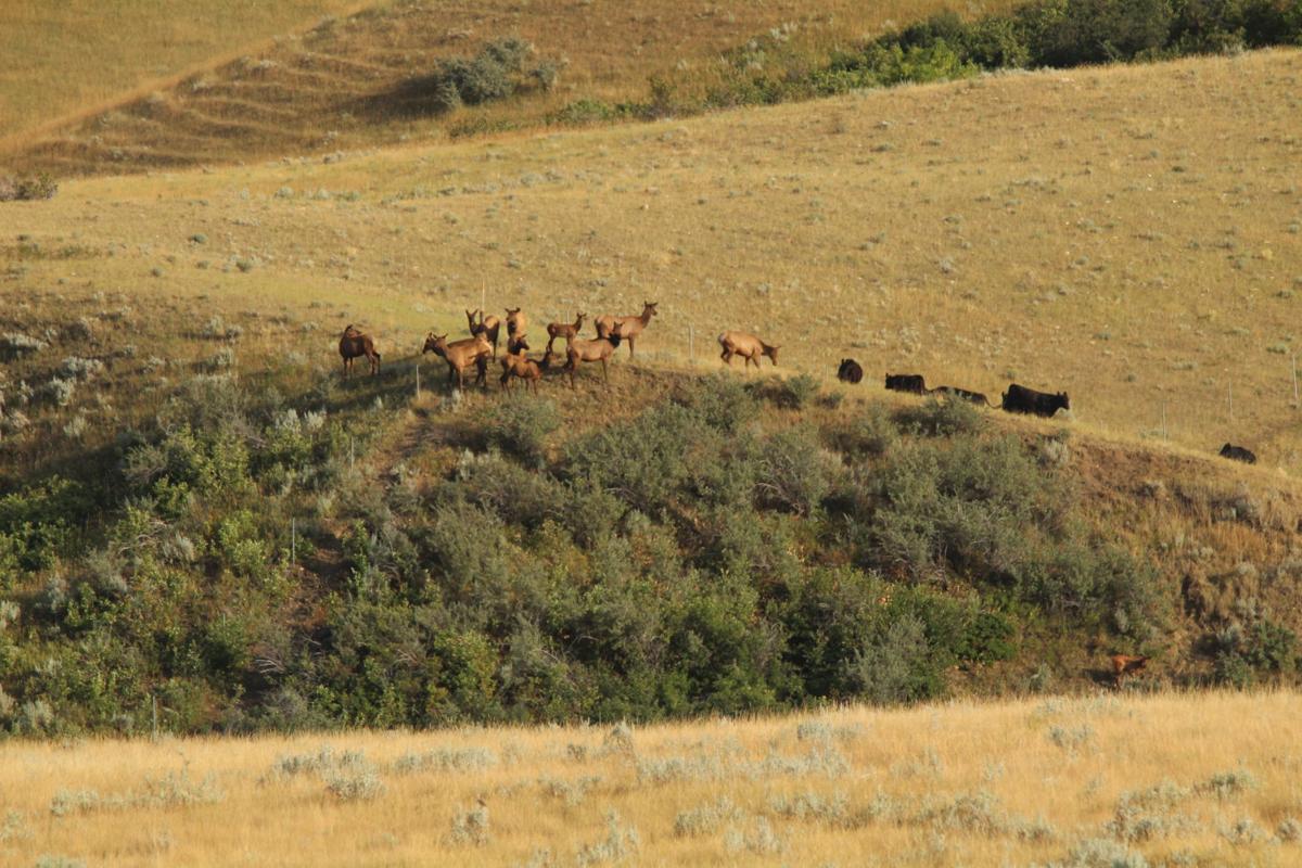 Sheridan County