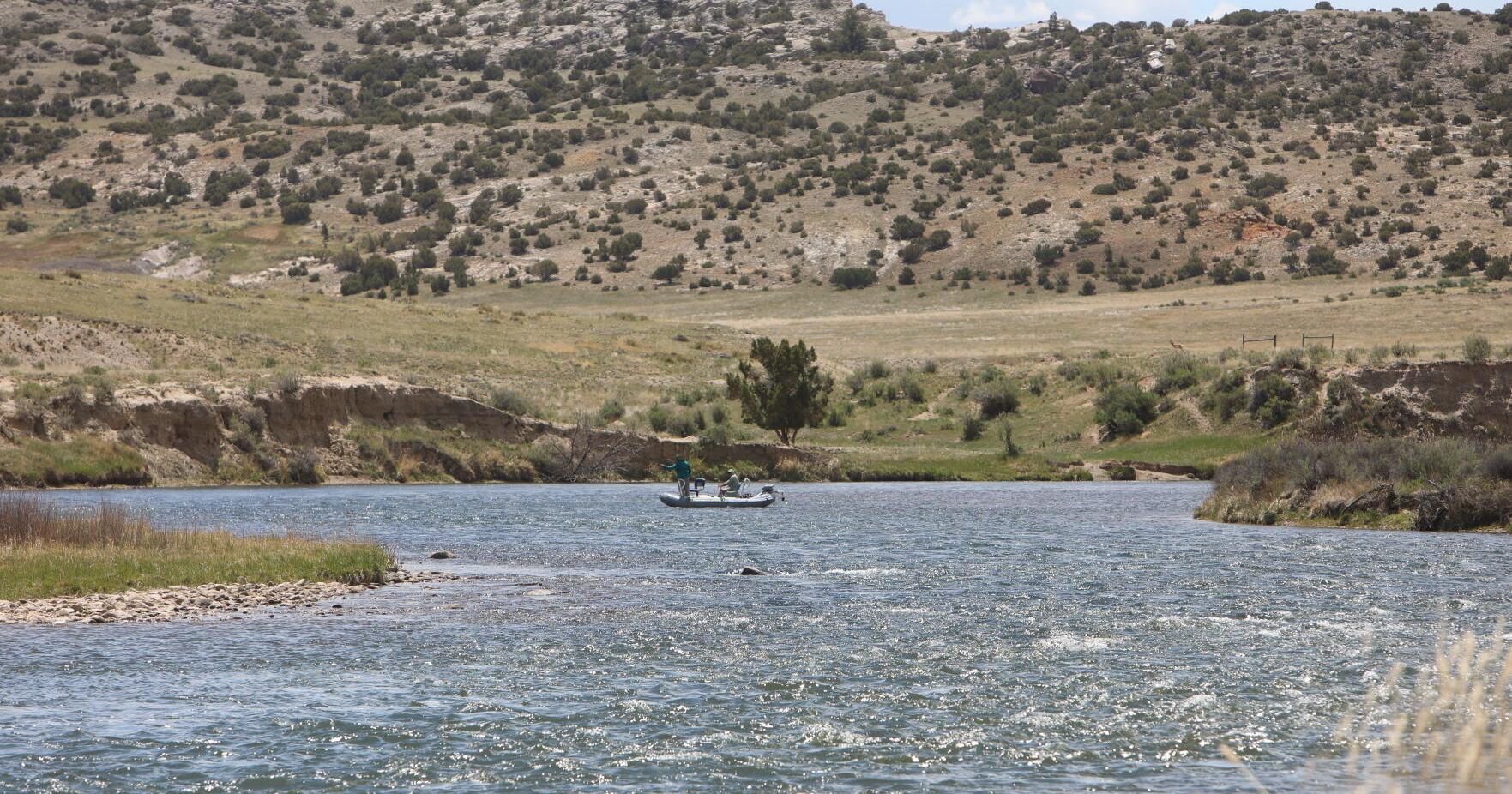 Fish for free June 1 in the Cowboy State - Vimarsana News
