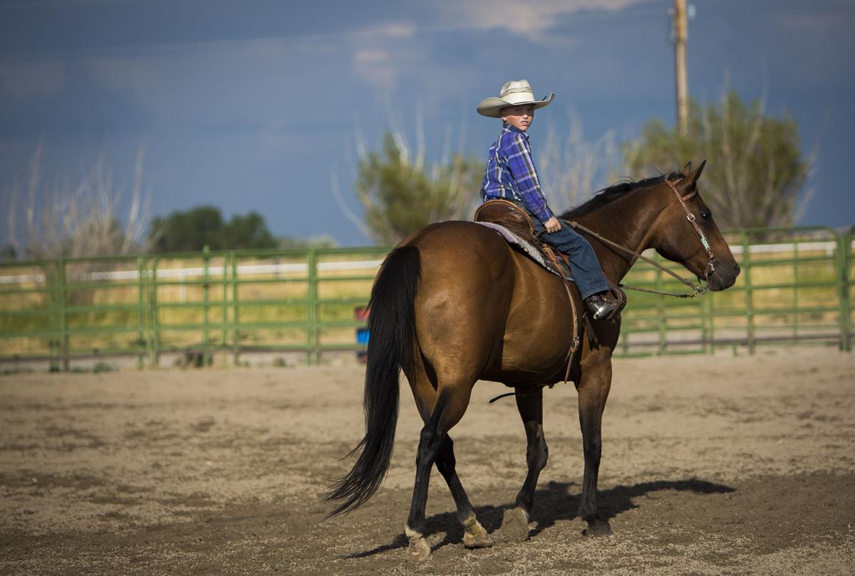 Pavillion Kid Rodeo