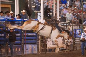 PHOTOS: Champions crowned at Central Wyoming Fair & PRCA Rodeo