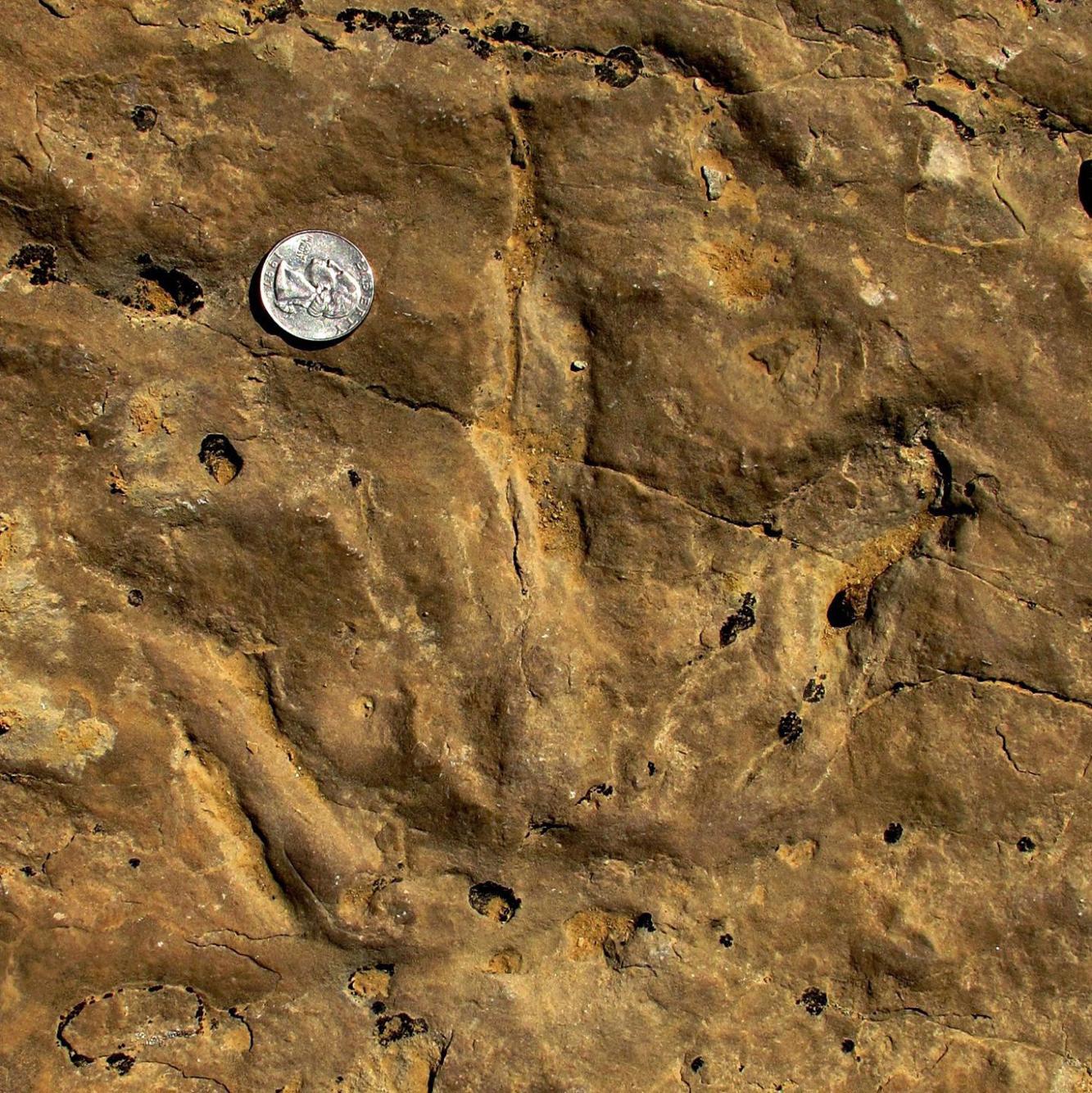 red gulch dinosaur tracksite
