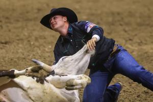 College National Finals Rodeo team and all-around results