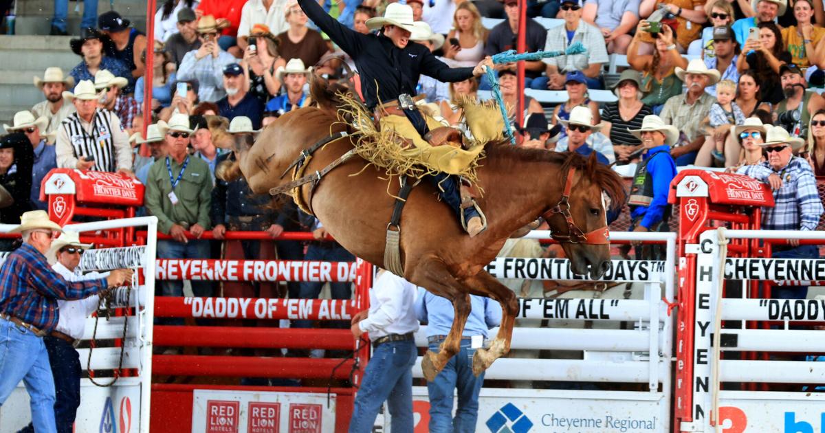 Prorodeo Standings 2025