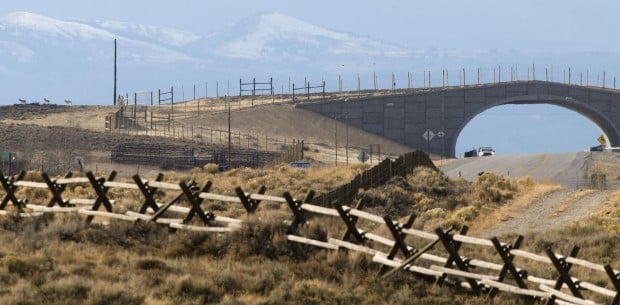 New Crossing Structures Benefit Wyoming Wildlife | Wyoming News | Trib.com