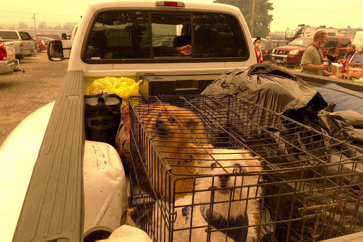 Pacific Northwest Fires Burn Hundreds Of Homes Oregon Governor Says Communities Largely Destroyed National Trib Com