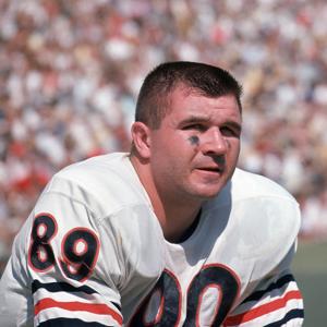 Chicago Bears tight end Mike Ditka (89) on the bench agains the Los Angeles Rams at the Los Angeles Memorial Coliseum.