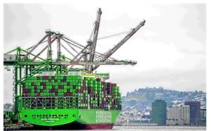 Companies scramble for tariff refunds as system nears launch