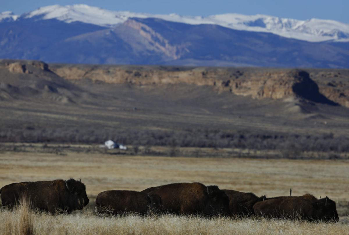 Northern Arapaho