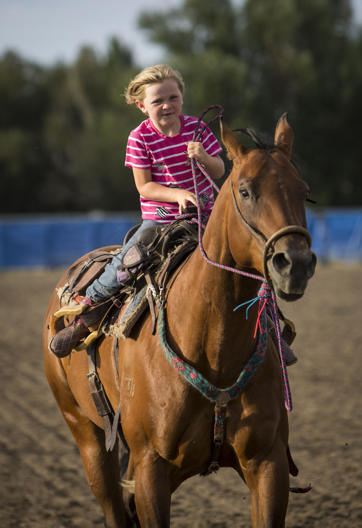 Pavillion Kid Rodeo