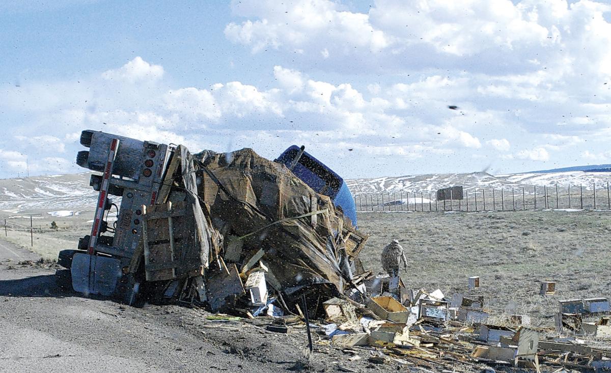 Bees Swarm I 80 After Truck Carrying Hives Crashes Wyoming News Trib Com
