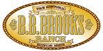 BB Brooks - 3