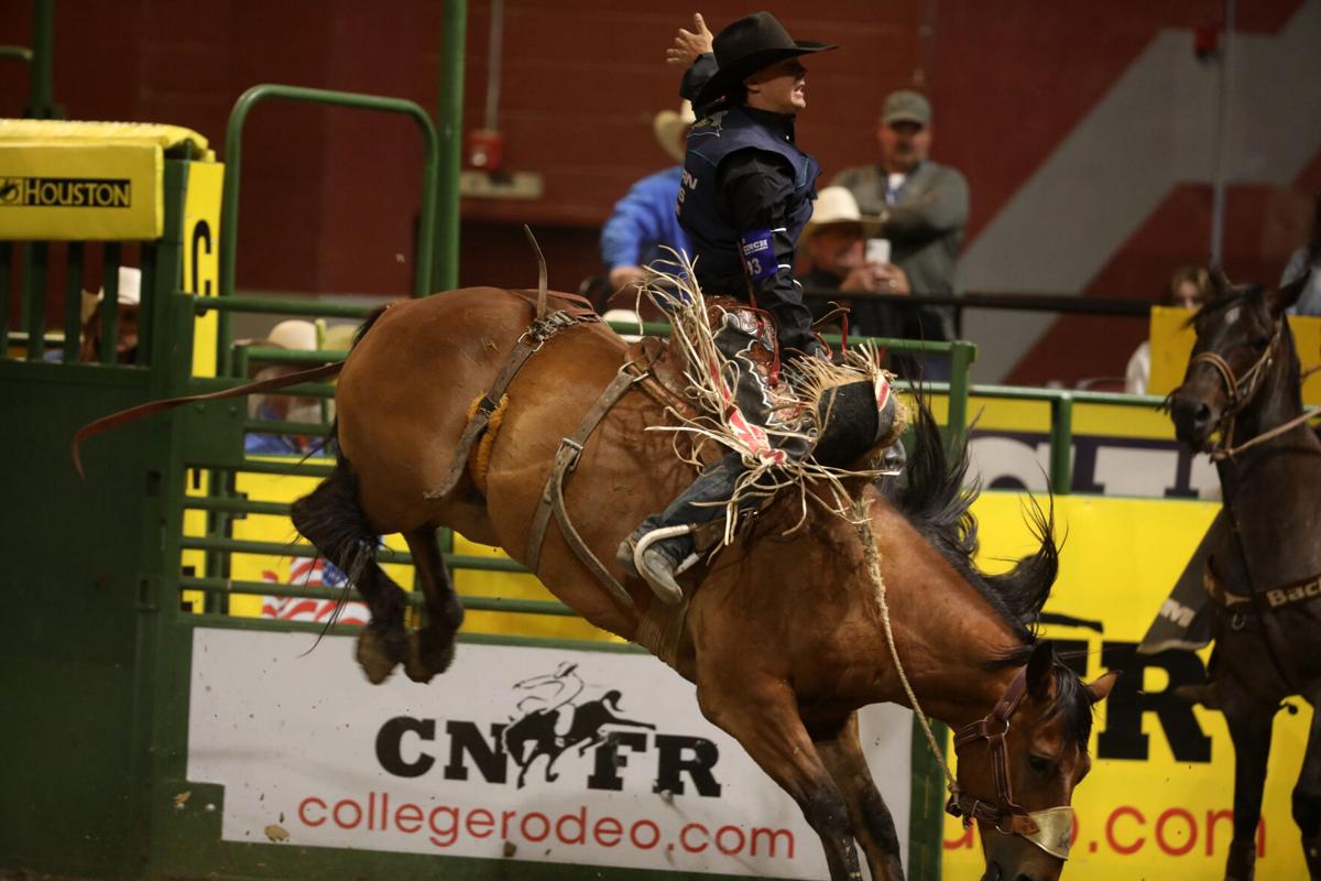 NFR Live FREE Rodeo 2023: How to Watch Las Vegas Rodeo all Games, TV  Coverage