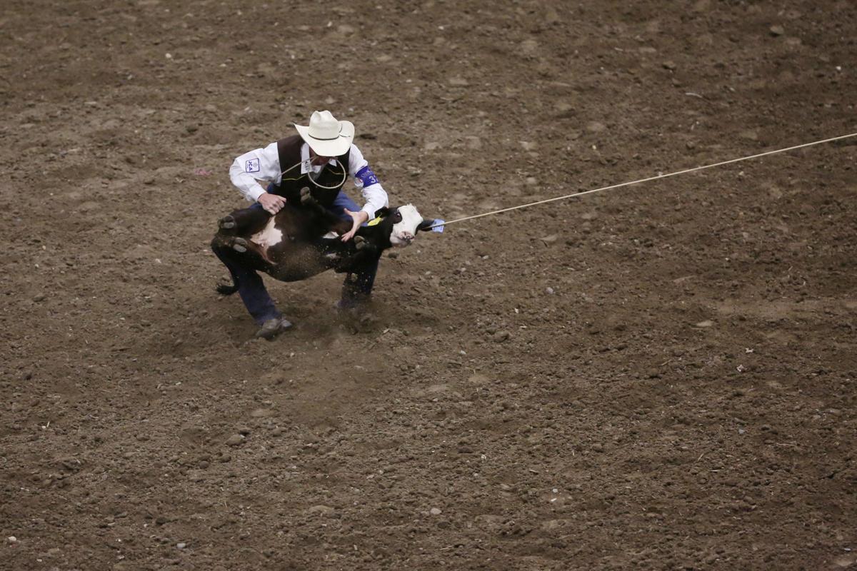 Uw S Seth Peterson Ties For Fastest Time In 21 Cnfr Tie Down Roping Rodeo Trib Com