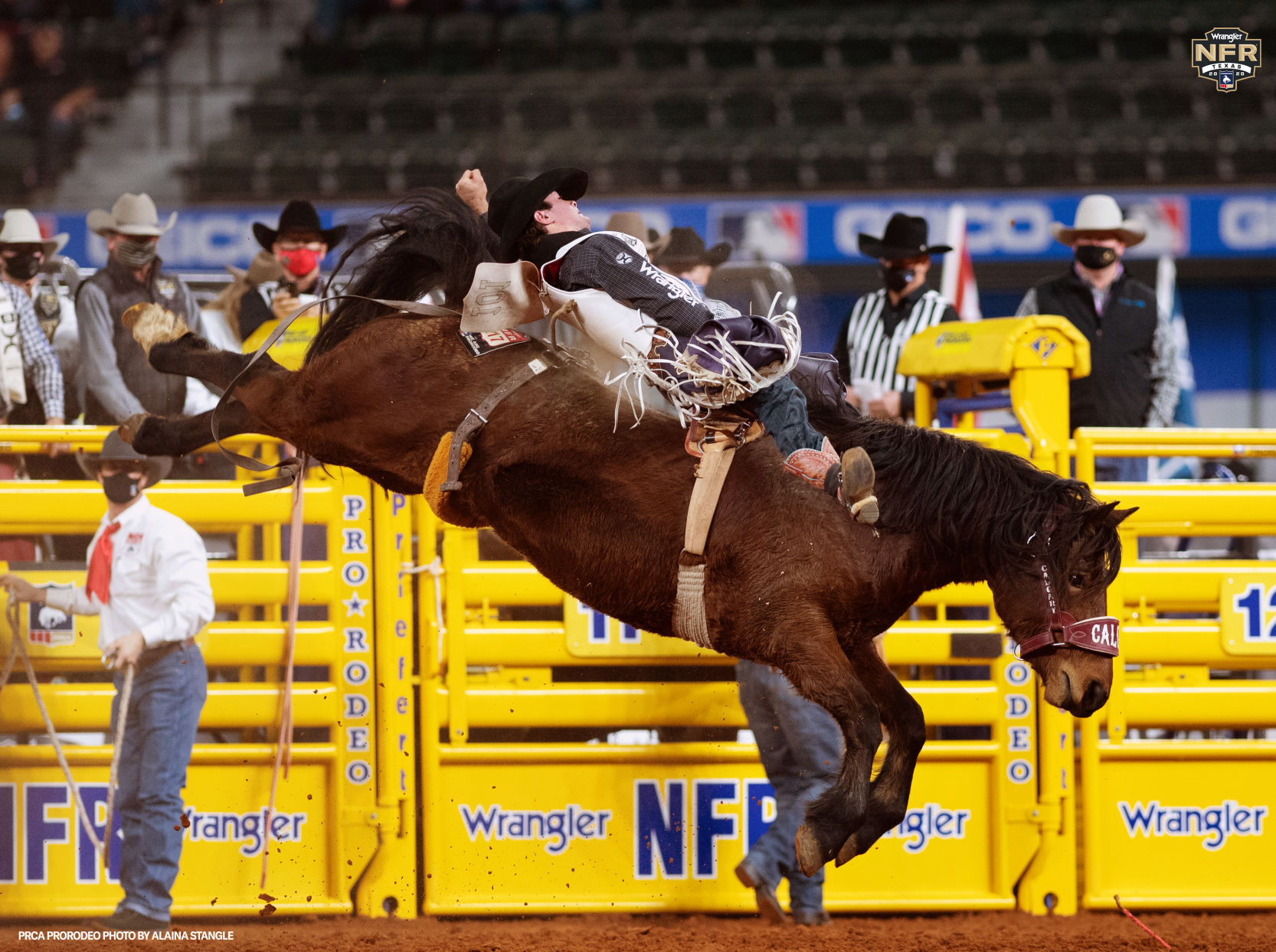 Wyoming natives Reiner Cress are in top three of PRCA world standings